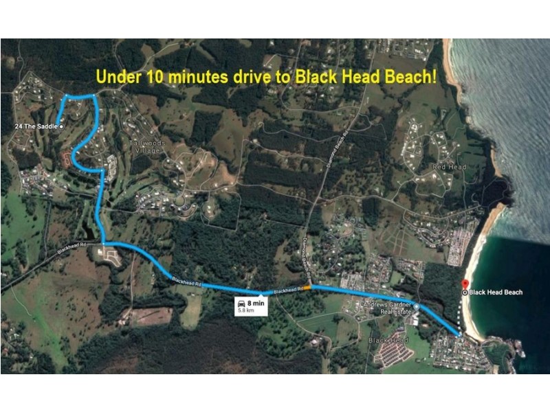 24 The Saddle, Tallwoods Village NSW 2430