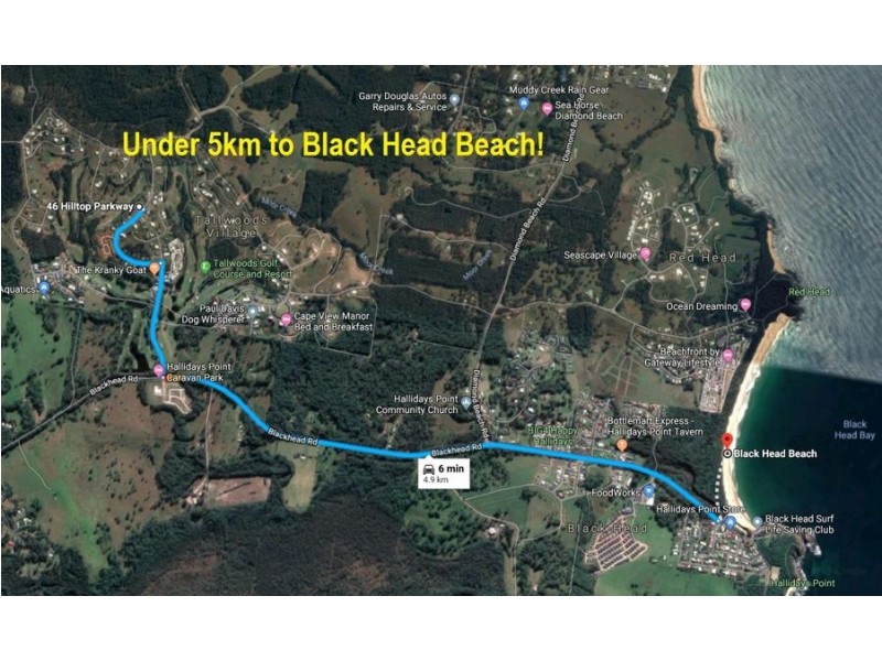 46 Hilltop Parkway, Tallwoods Village NSW 2430