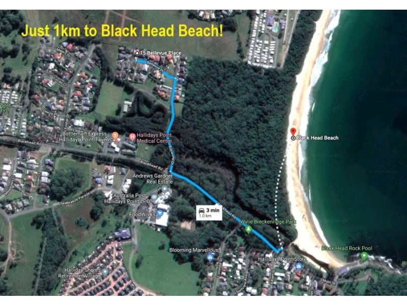 15 Bellevue Place, Hallidays Point NSW 2430