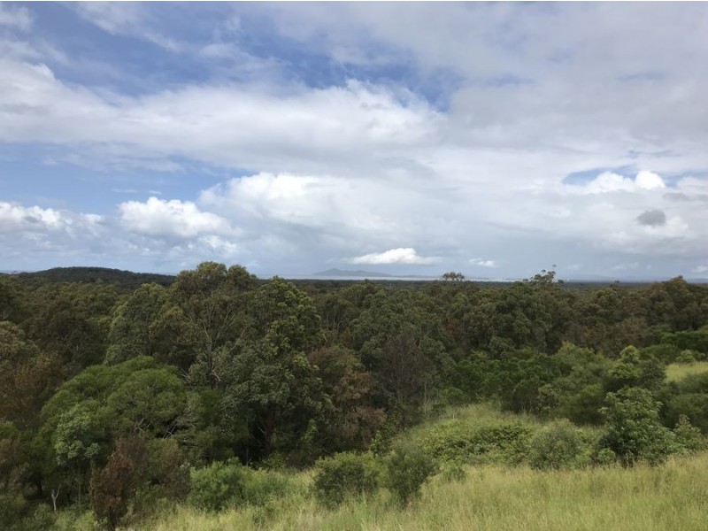 49 Eastern Valley Way, Tallwoods Village NSW 2430