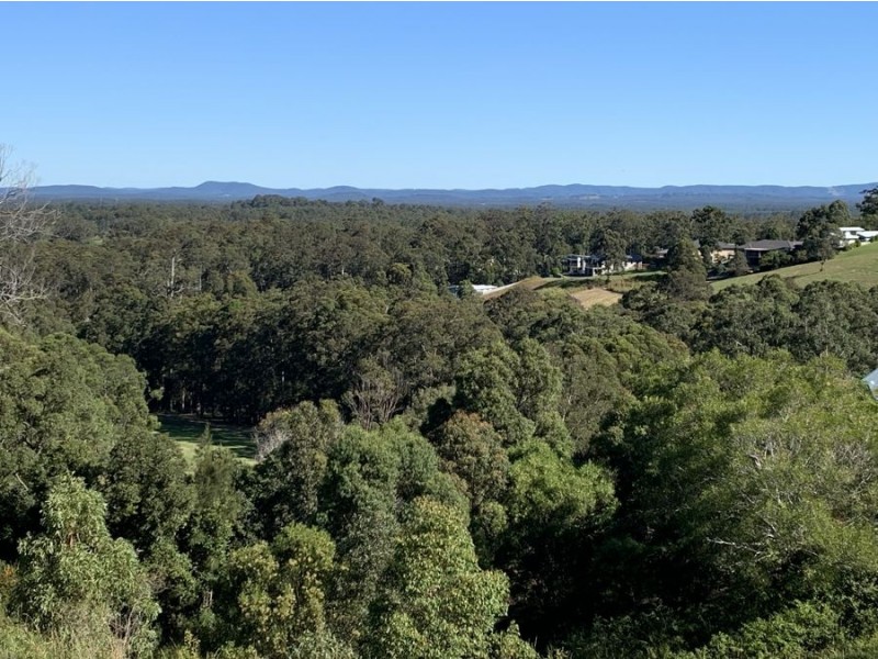 Lot 1005 Tallwood Drive, Tallwoods Village NSW 2430