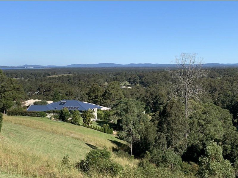 Lot 1005 Tallwood Drive, Tallwoods Village NSW 2430