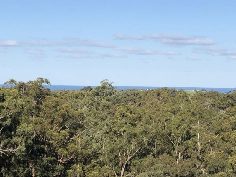 49 Eastern Valley Way, Tallwoods Village NSW 2430