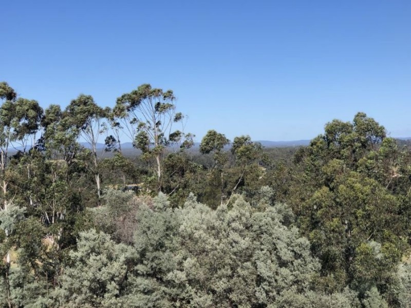 13 Hurdzans Reach, Tallwoods Village NSW 2430