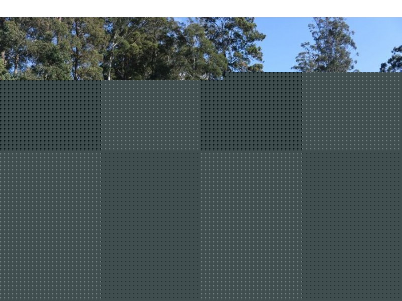 1/14 The Boulevard, Tallwoods Village NSW 2430