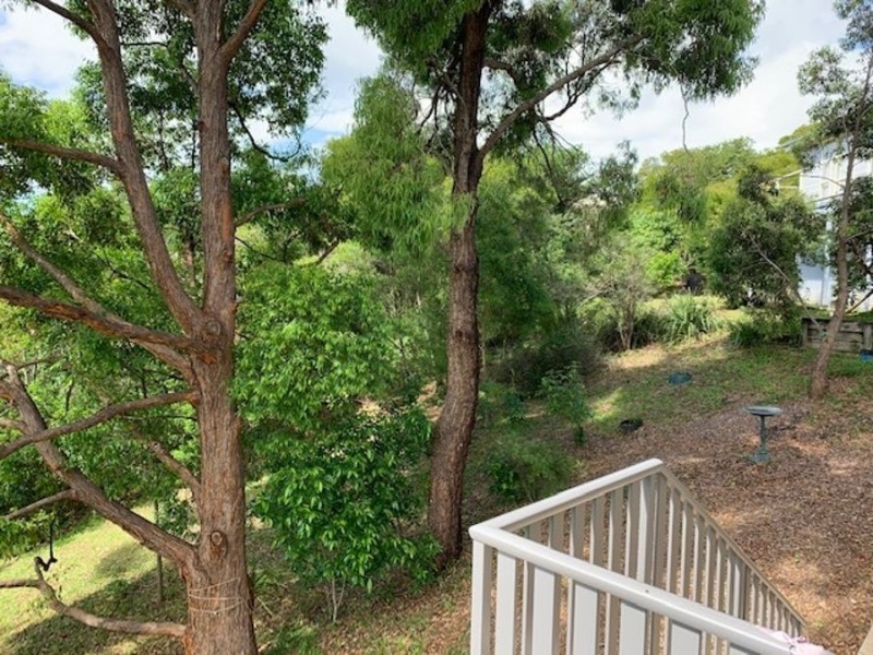 41 Hilltop Parkway, Tallwoods Village NSW 2430