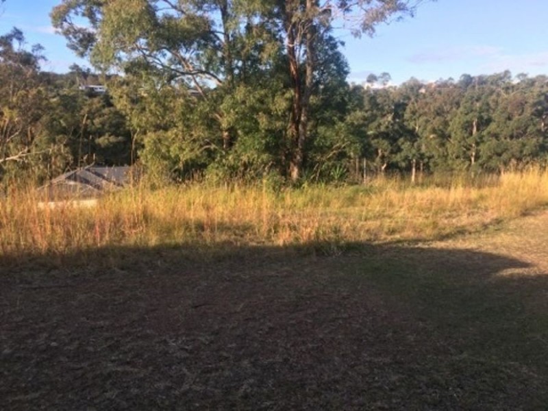 16 The Knoll, Tallwoods Village NSW 2430