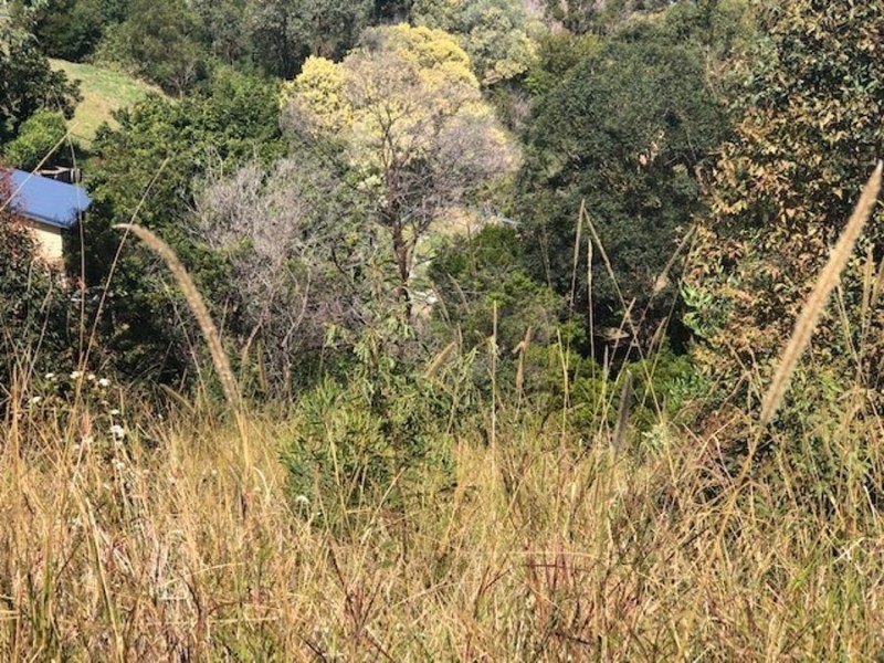 278 Tallwood Drive, Tallwoods Village NSW 2430