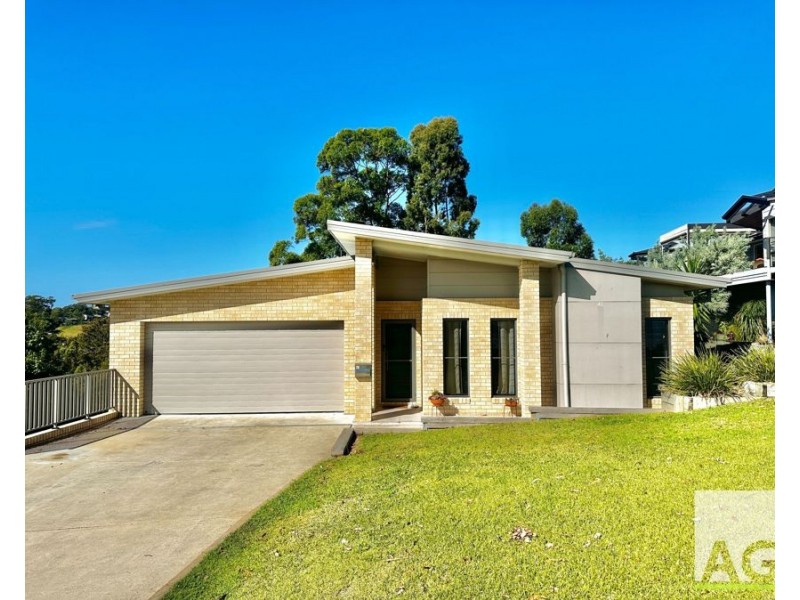 41 Hilltop Parkway, Tallwoods Village NSW 2430