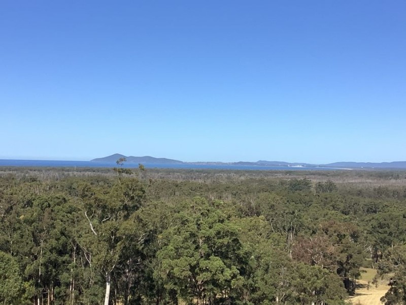 5 Azalea Crescent, Tallwoods Village NSW 2430