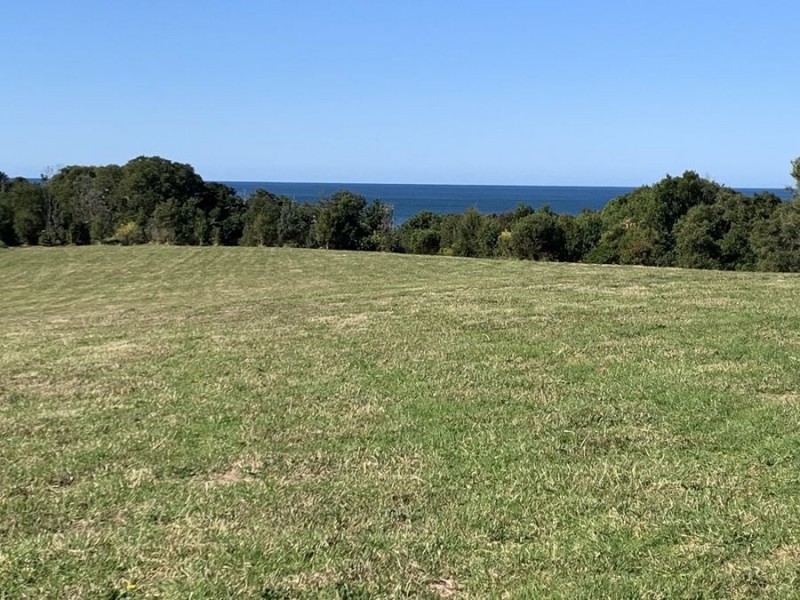 25 Myalup Court, Red Head NSW 2430