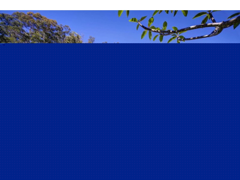 13 Illusions Court, Tallwoods Village NSW 2430