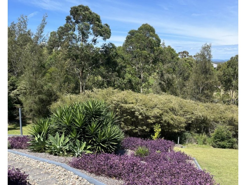 3 Lorikeet Way, Tallwoods Village NSW 2430