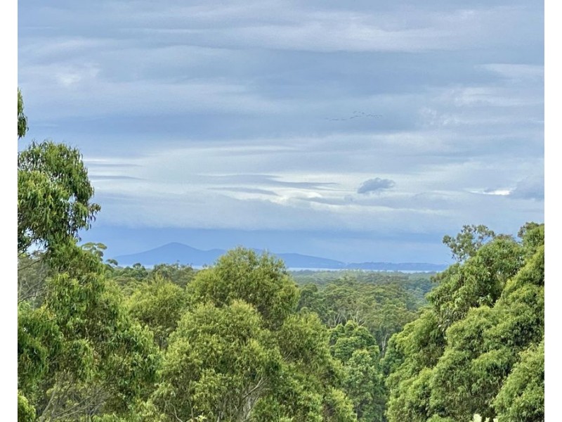 18 The Saddle, Tallwoods Village NSW 2430