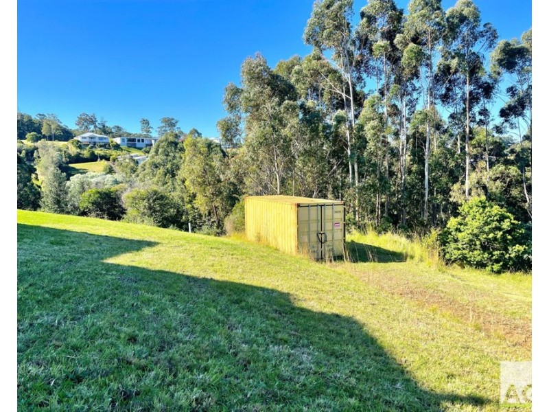 59 Hilltop Parkway, Tallwoods Village NSW 2430