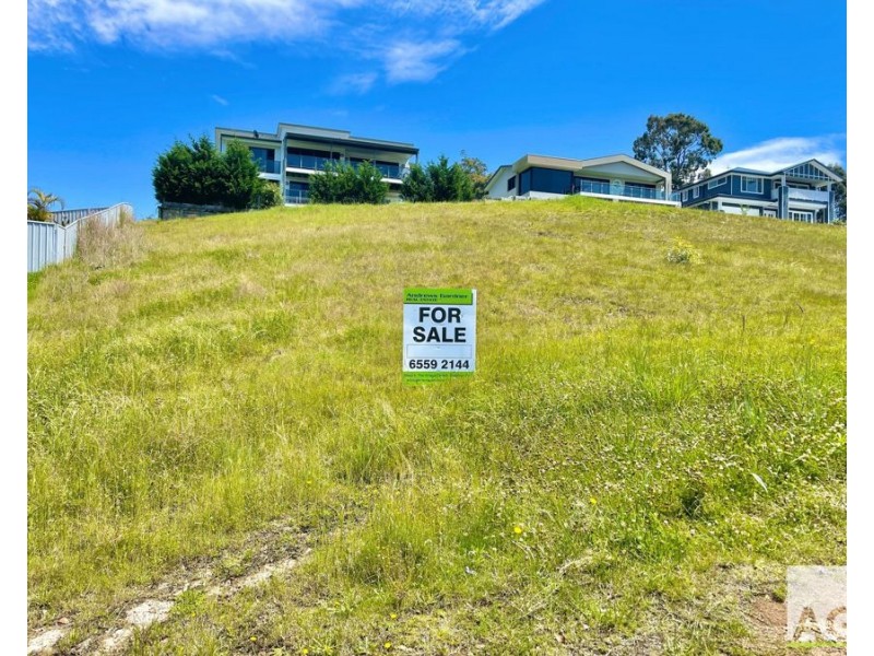 14 Illusions Court, Tallwoods Village NSW 2430