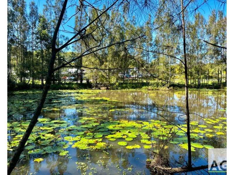 1 Bloodwood Pl, Black Head NSW 2430