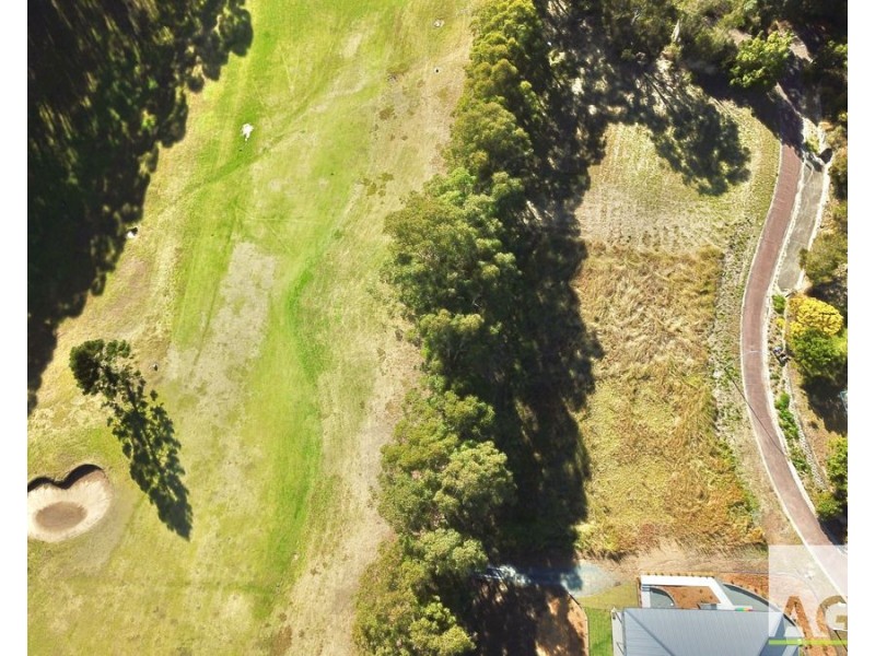 7 Golden Wattle Way, Tallwoods Village NSW 2430