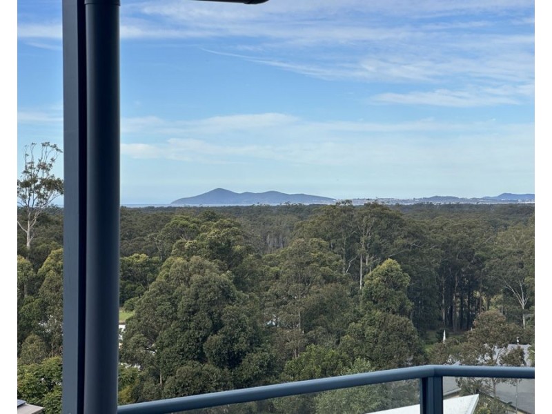 2 The Knoll, Tallwoods Village NSW 2430