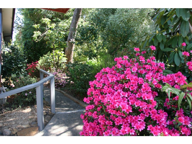 14 Panorama Crescent, Wentworth Falls NSW 2782