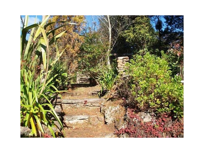 60 Backhouse Street, Wentworth Falls NSW 2782