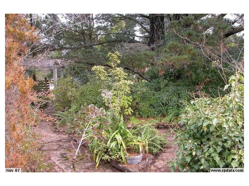 60 Backhouse Street, Wentworth Falls NSW 2782