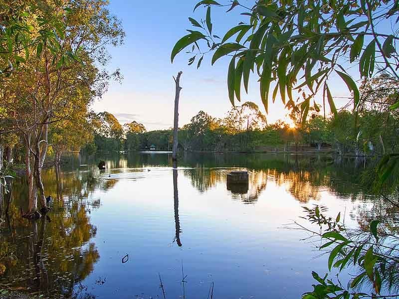 5 Pembridge Street, Murrumba Downs QLD 4503