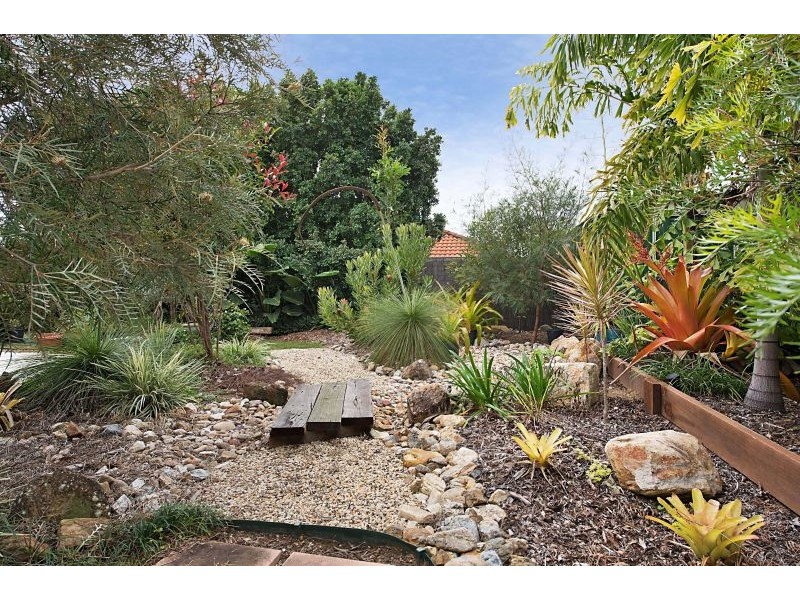 8 Jabiru Drive, Mango Hill QLD 4509