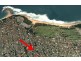 58 Oaks Avenue, Long Jetty NSW 2261