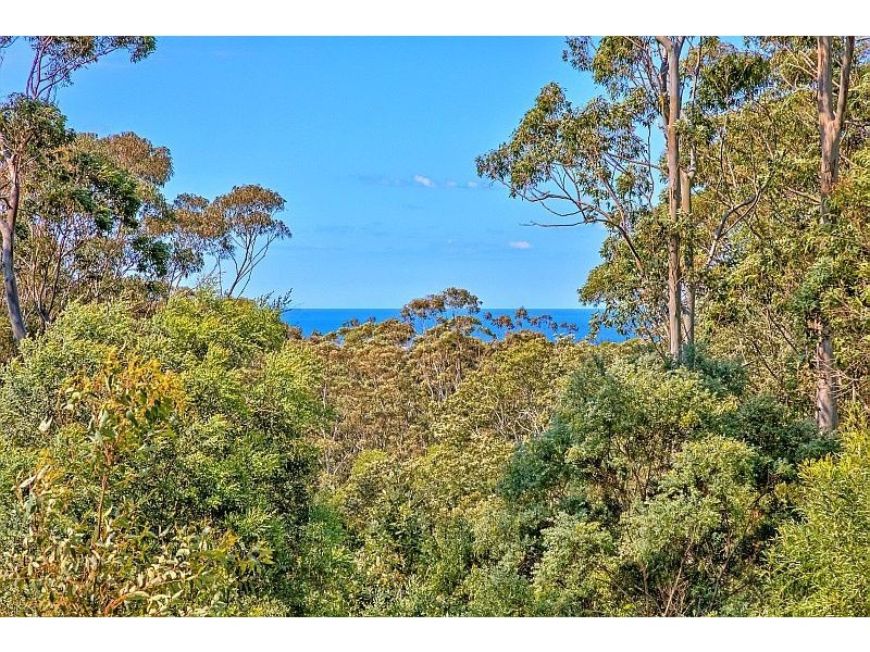 115 Lees Lane, Tumbi Umbi NSW 2261