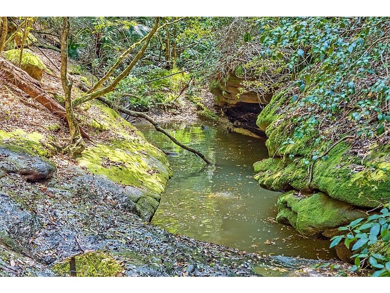 115 Lees Lane, Tumbi Umbi NSW 2261