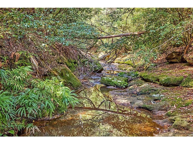 115 Lees Lane, Tumbi Umbi NSW 2261