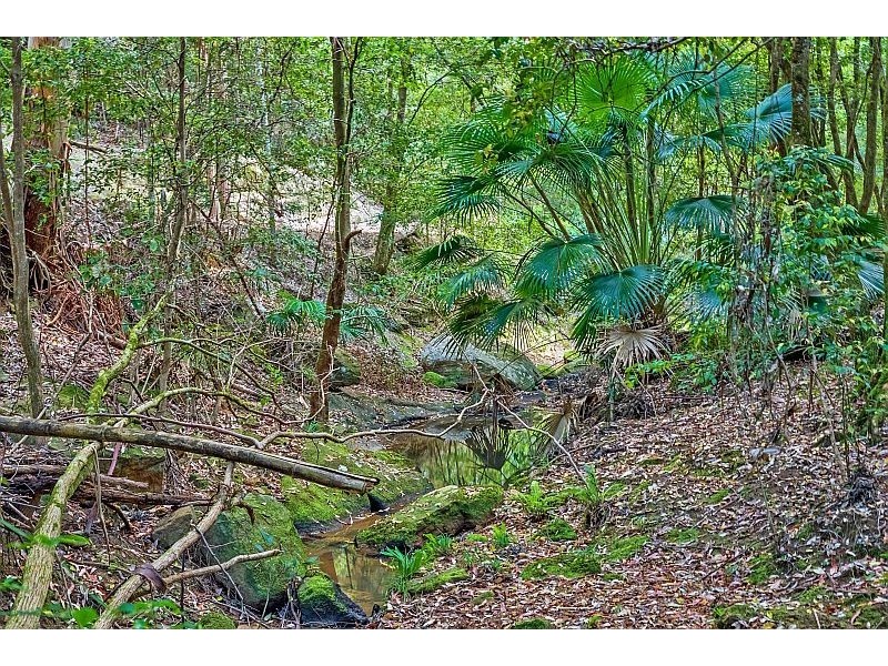 115 Lees Lane, Tumbi Umbi NSW 2261