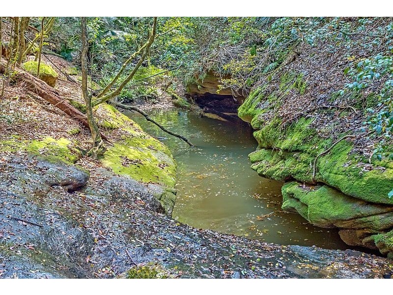 115 Lees Lane, Tumbi Umbi NSW 2261