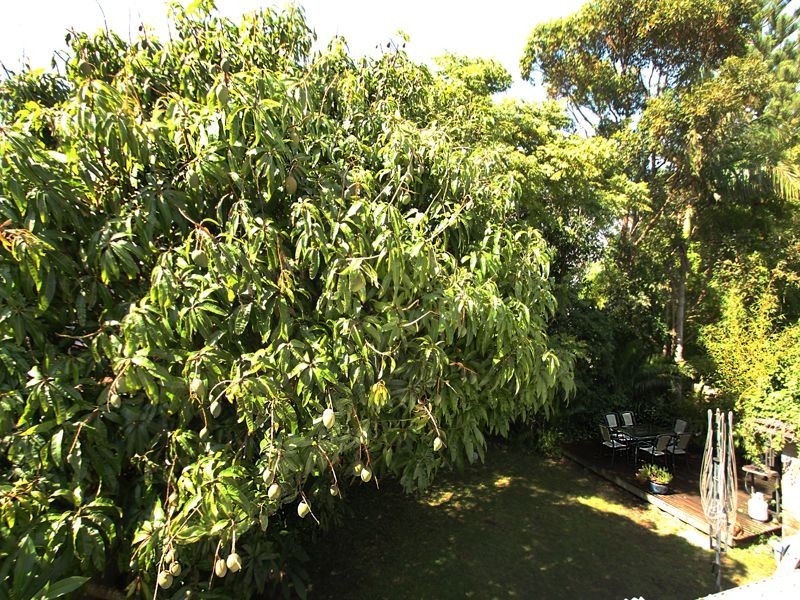 45 Elsiemer Street, Long Jetty NSW 2261