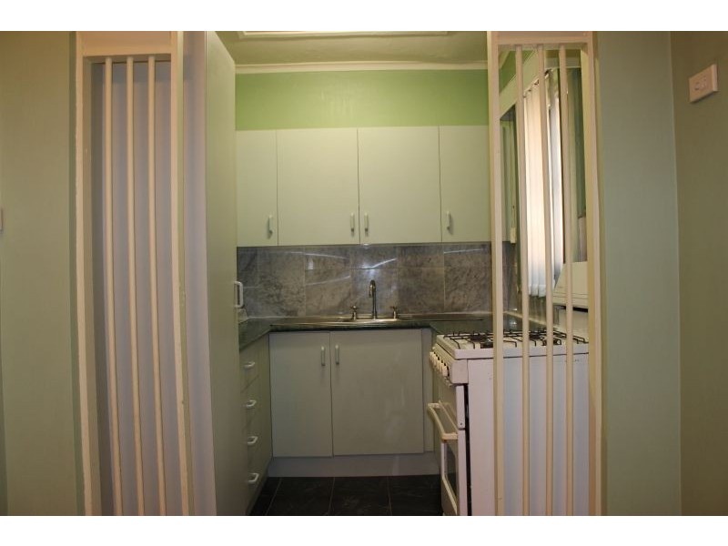 117 Mona St, Auburn NSW 2144