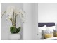 63 Central Avenue, Oran Park NSW 2570