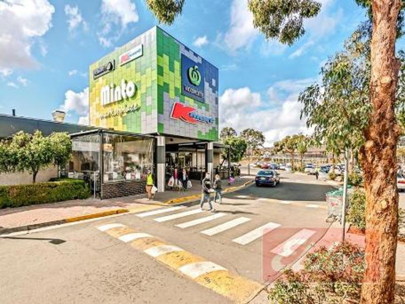 7 Pilot Place, Minto NSW 2566