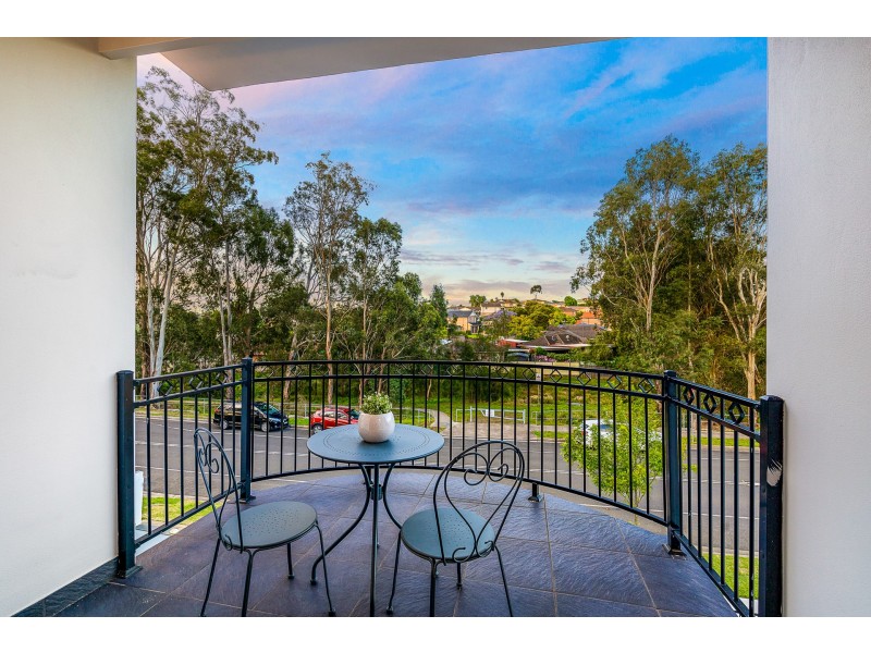 117 Wilson Road, Quakers Hill NSW 2763