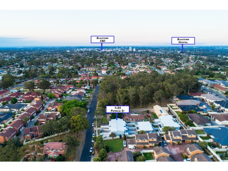 1/25 Patricia Street, Blacktown NSW 2148