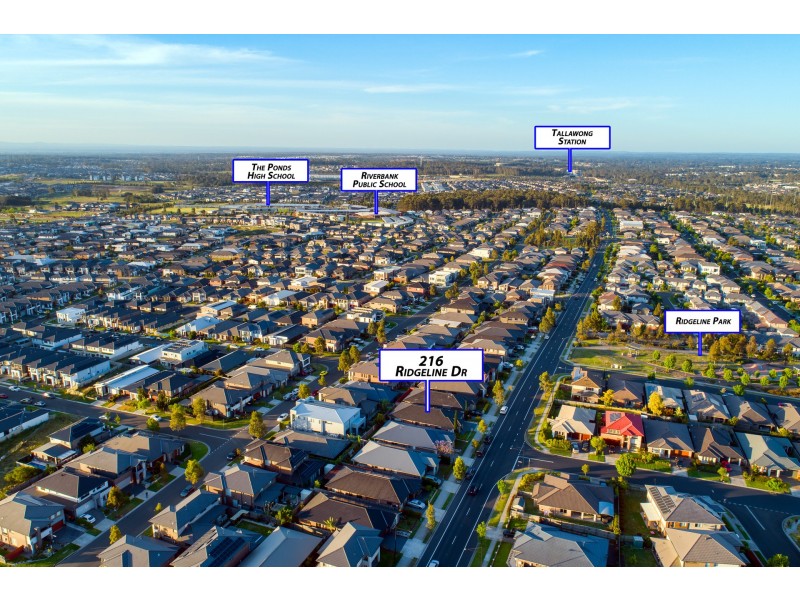 216 Ridgeline Drive, The Ponds NSW 2769