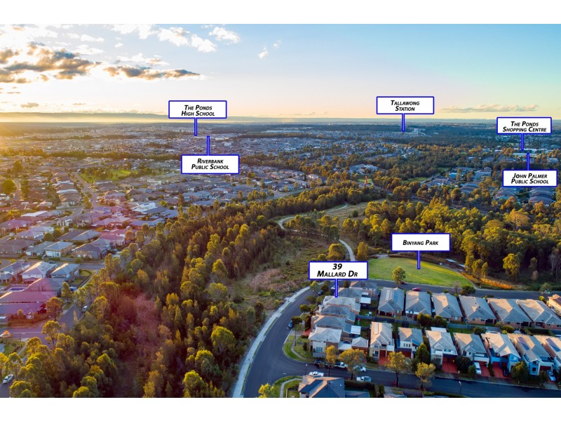 39 Mallard Drive, The Ponds NSW 2769