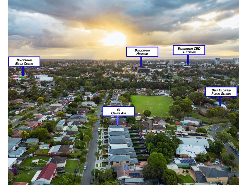 61 Orana Avenue, Seven Hills NSW 2147