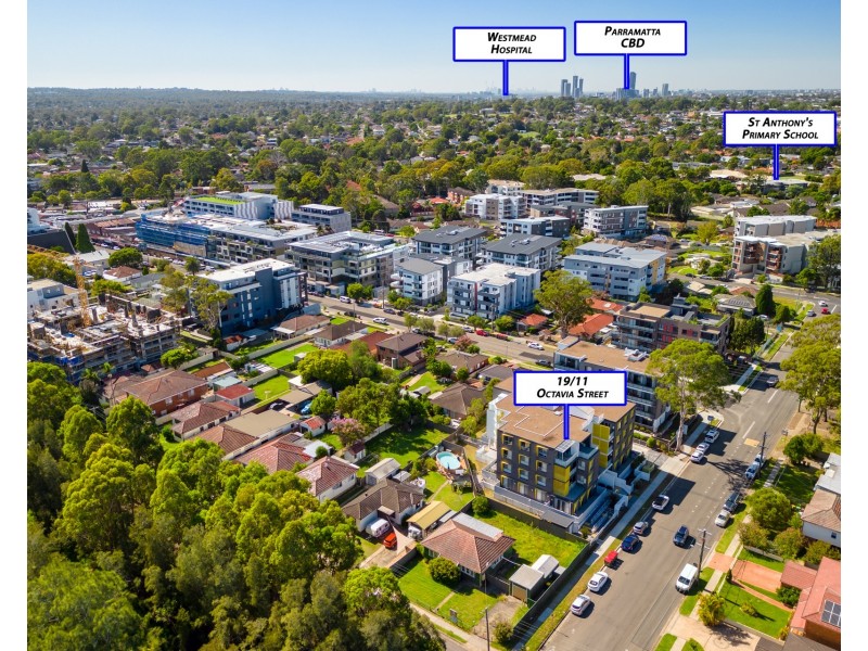 19/11-13 Octavia Street, Toongabbie NSW 2146
