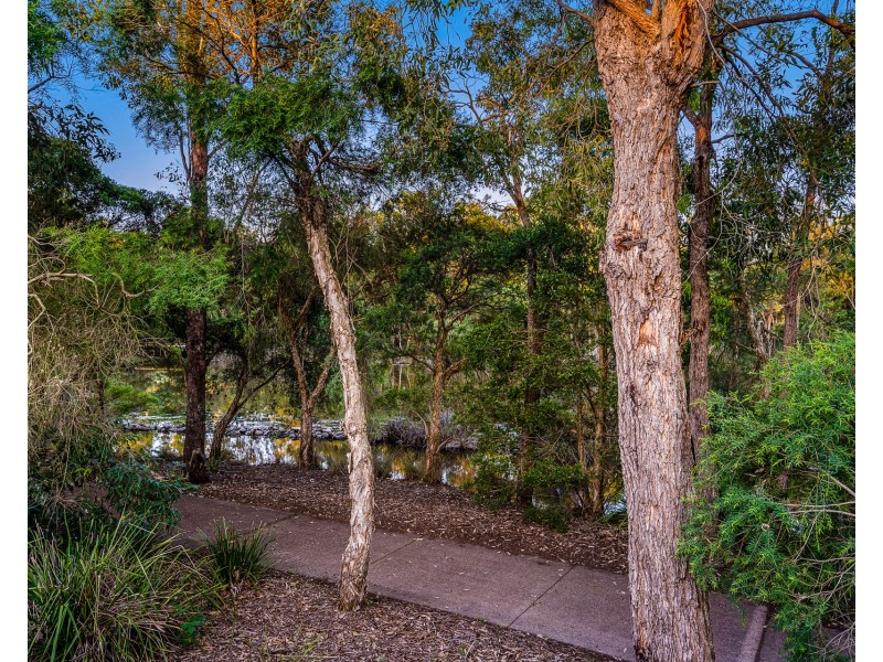 13 Sanderling Crescent, Cranebrook NSW 2749