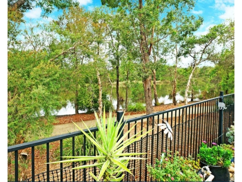 13 Sanderling Crescent, Cranebrook NSW 2749