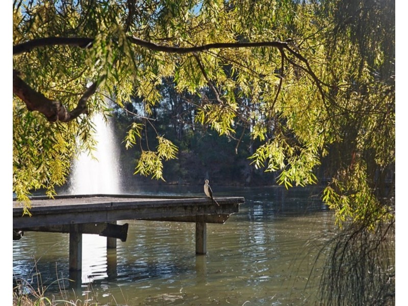 13 Sanderling Crescent, Cranebrook NSW 2749