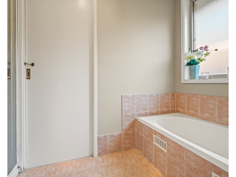 17 Wyangala Circuit, Woodcroft NSW 2767