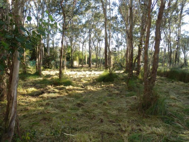 Lot 40 Grange Ave, Schofields NSW 2762