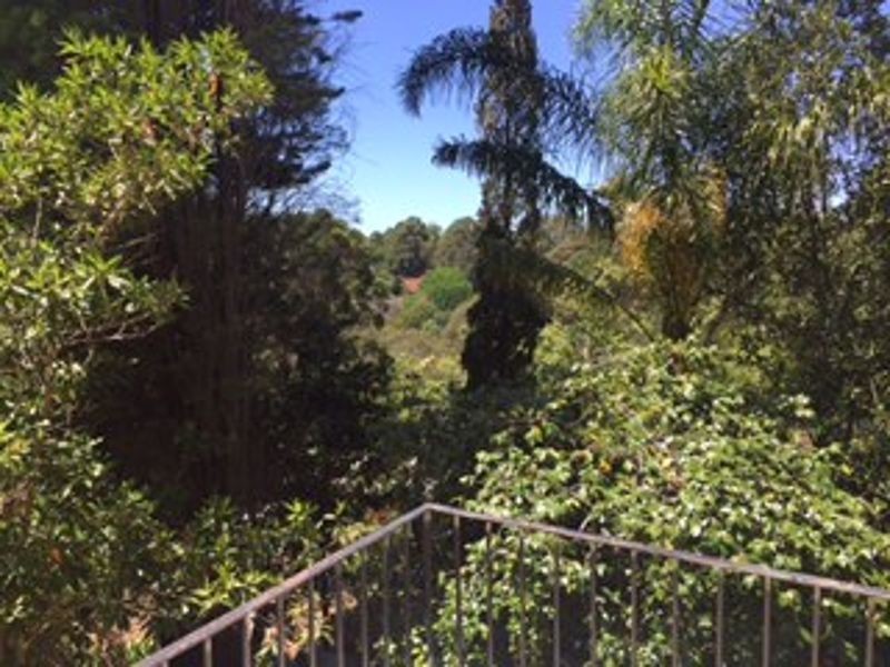29 Awatea Road, St Ives NSW 2075